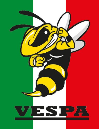 Vespa stemma cascata adesivo - stemma,