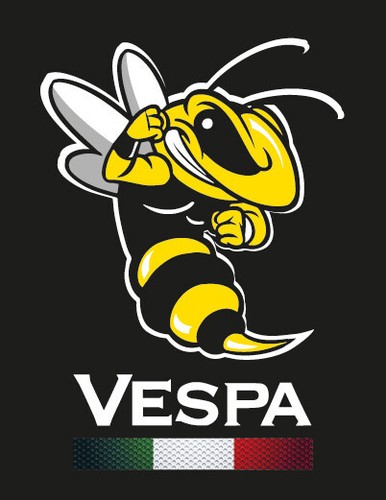 Vespa emblema cascata - , adesivo